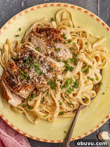 A bowl of linguine and chicken alfredo.