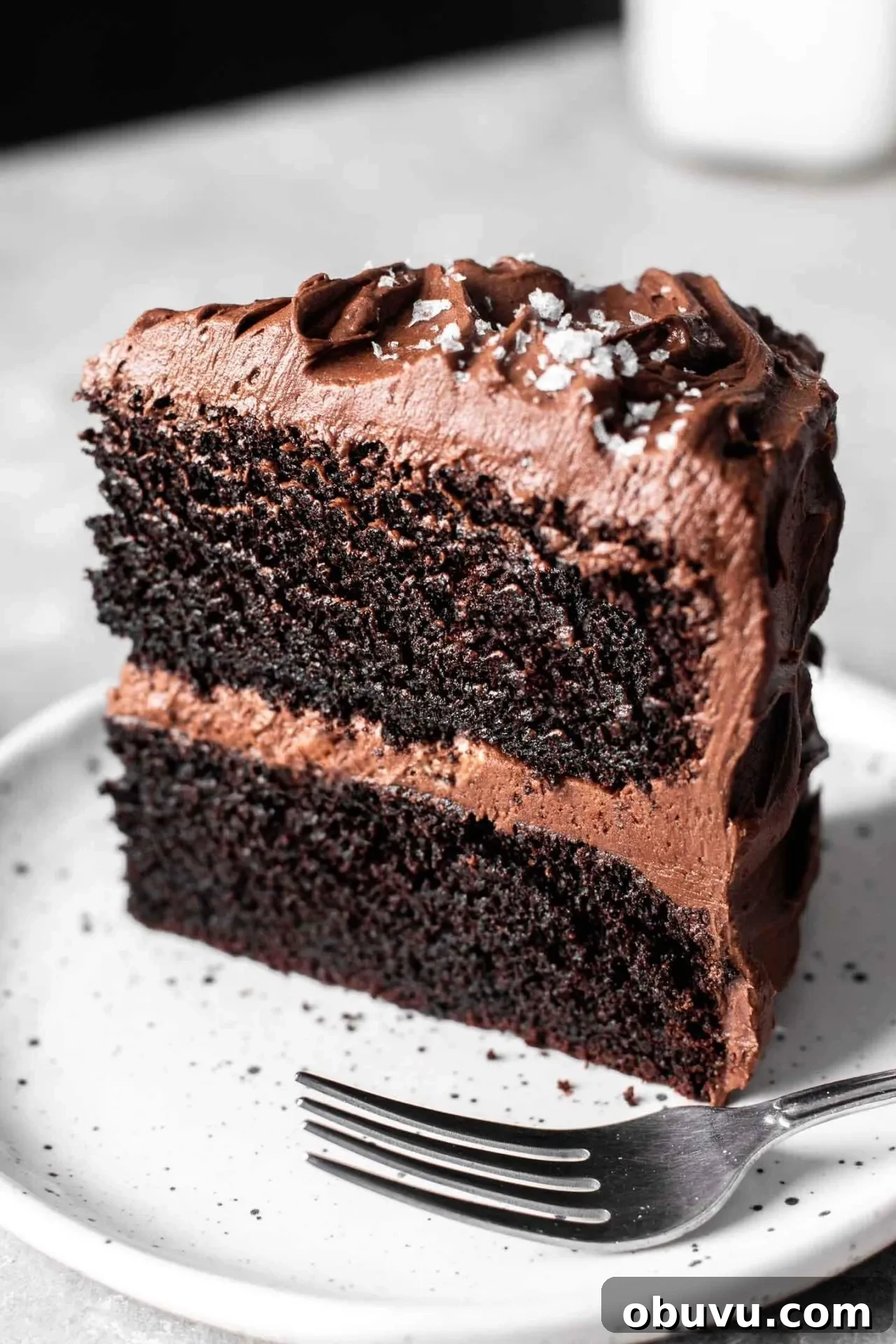 Decadent Gluten-Free Chocolate Cake Recipe 2 gluten free chocolate cake slice in plate (1)