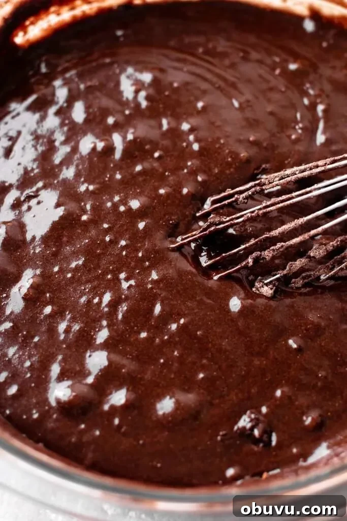 Decadent Gluten-Free Chocolate Cake Recipe 5 gluten free chocolate cake batter ingredients whisked together in bowl minus the hot coffee