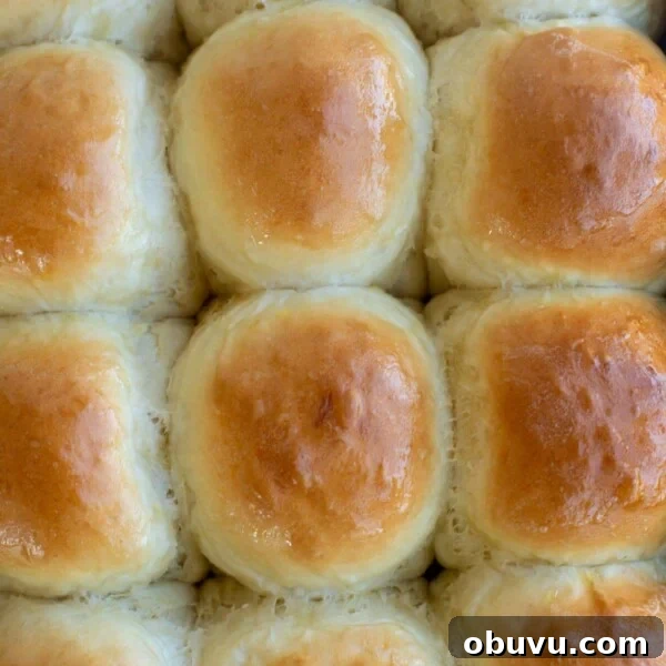 Sourdough Focaccia: Crispy, Airy Italian-Style Loaf Recipe 13 A pan of baked rolls nestled together in a baking pan.