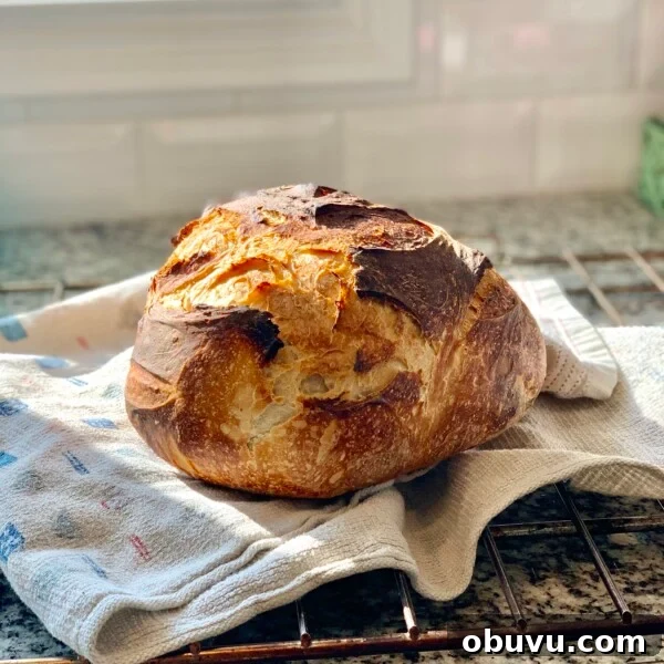 Sourdough Focaccia: Crispy, Airy Italian-Style Loaf Recipe 15 A loaf of beginner sourdough bread sitting on a kitchen towel.