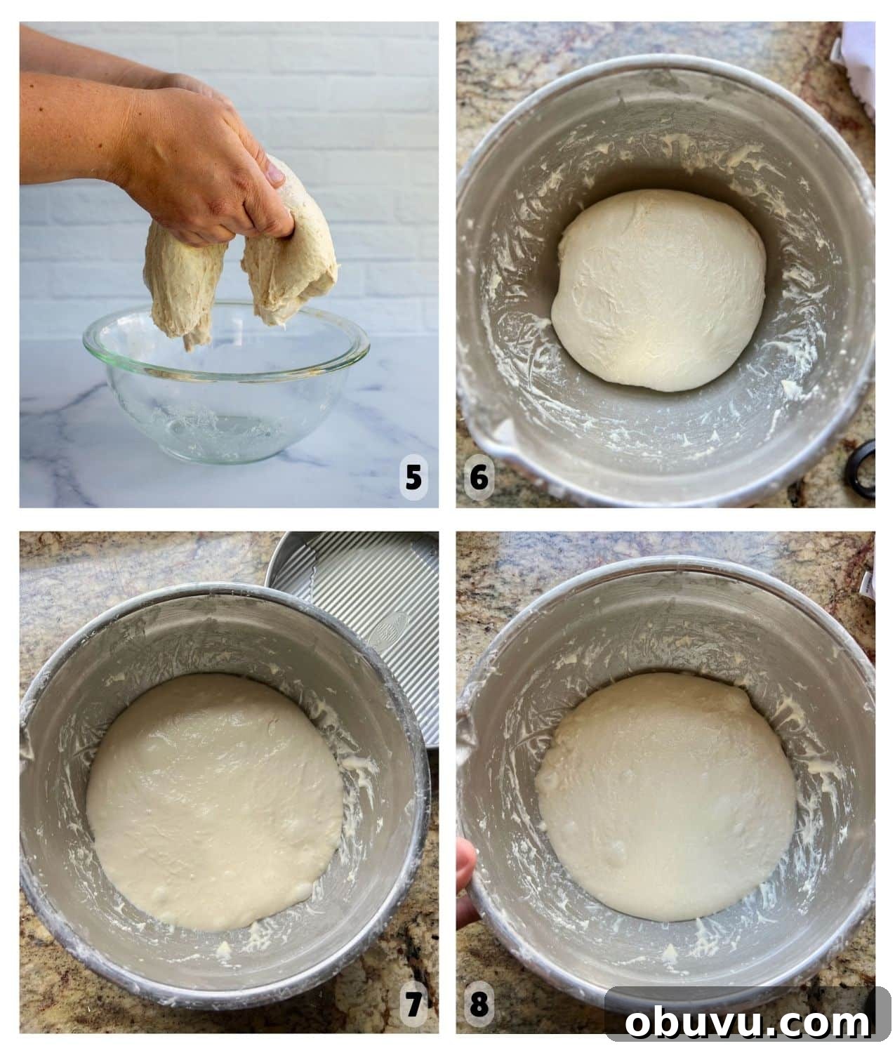 Sourdough Focaccia: Crispy, Airy Italian-Style Loaf Recipe 7 Hands performing coil folds and the dough gradually rising with more bubbles.