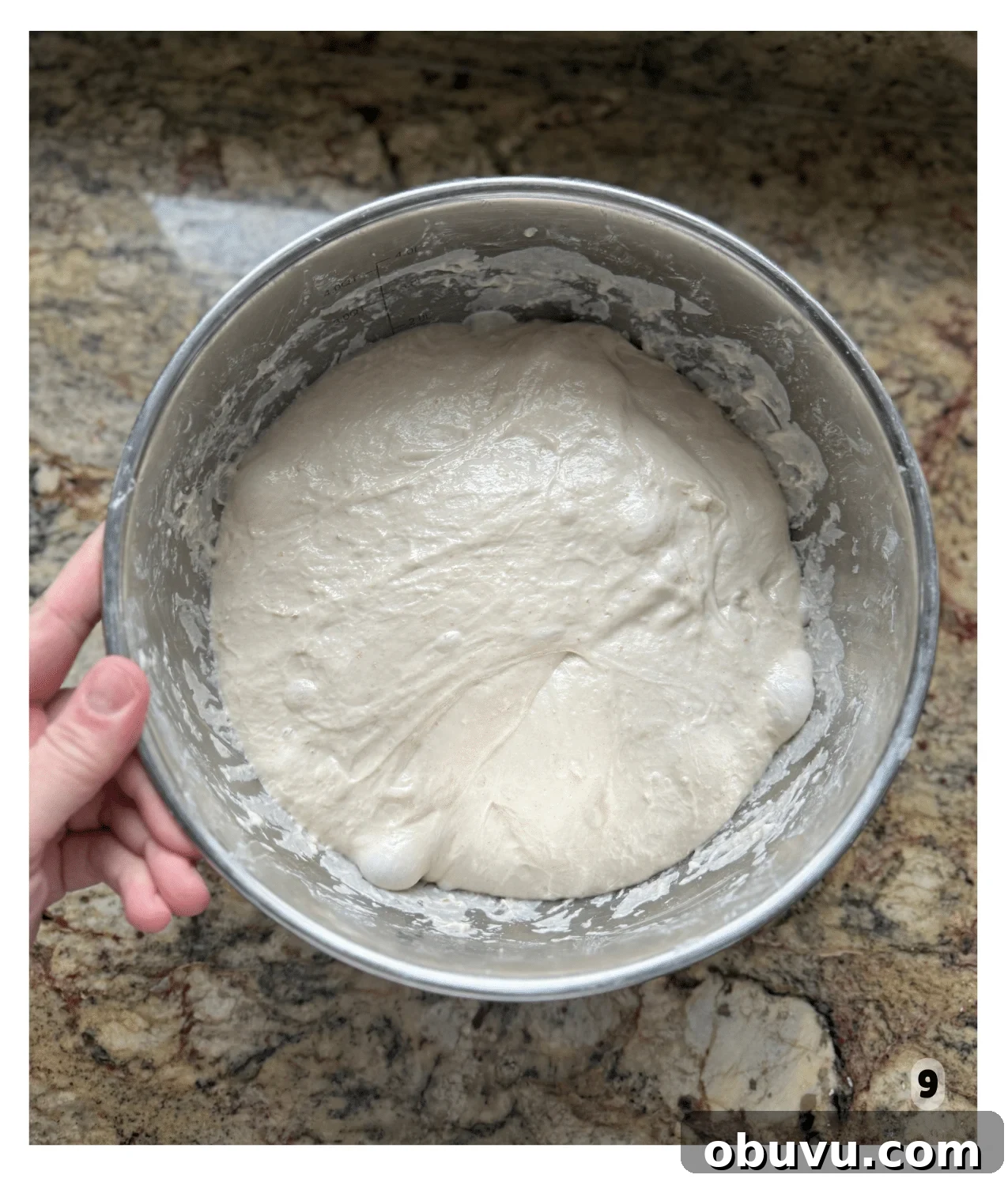 Sourdough Focaccia: Crispy, Airy Italian-Style Loaf Recipe 8 Focaccia dough in a mixing bowl, risen and ready for shaping.