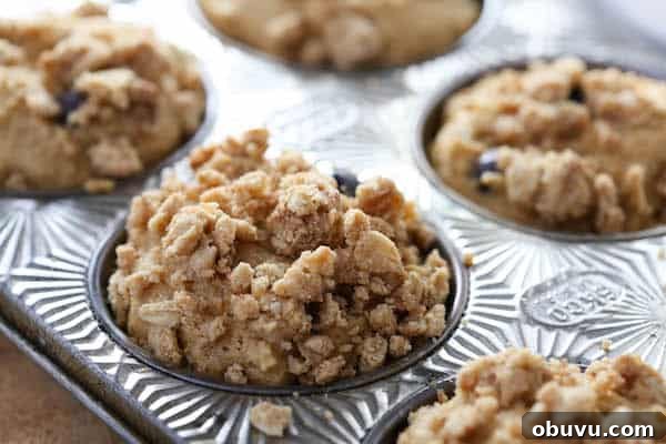 Whole Grain Blueberry Muffins