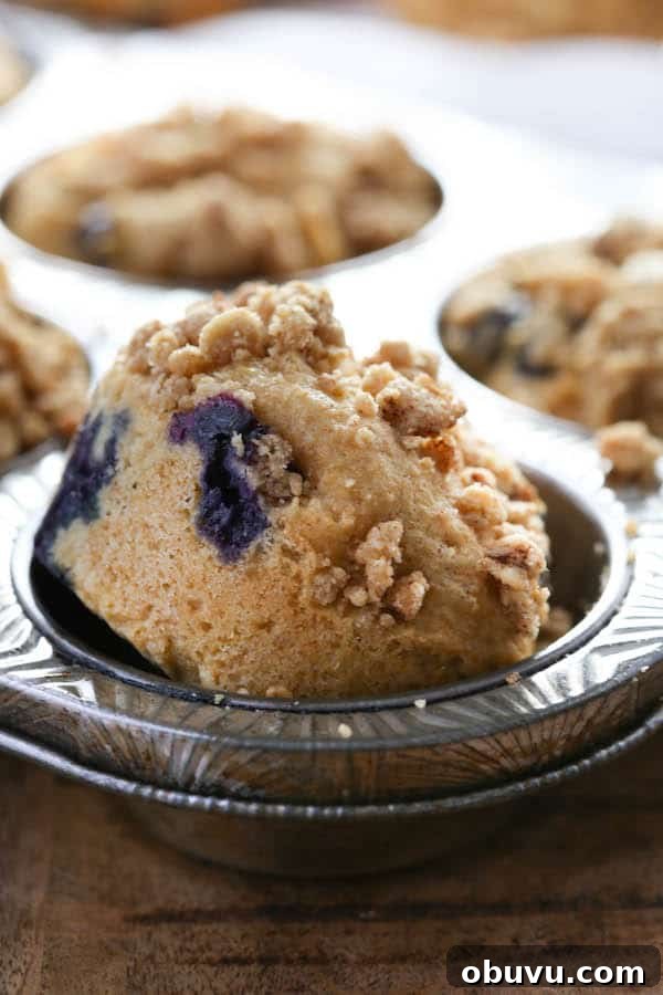 Whole Grain Blueberry Muffins
