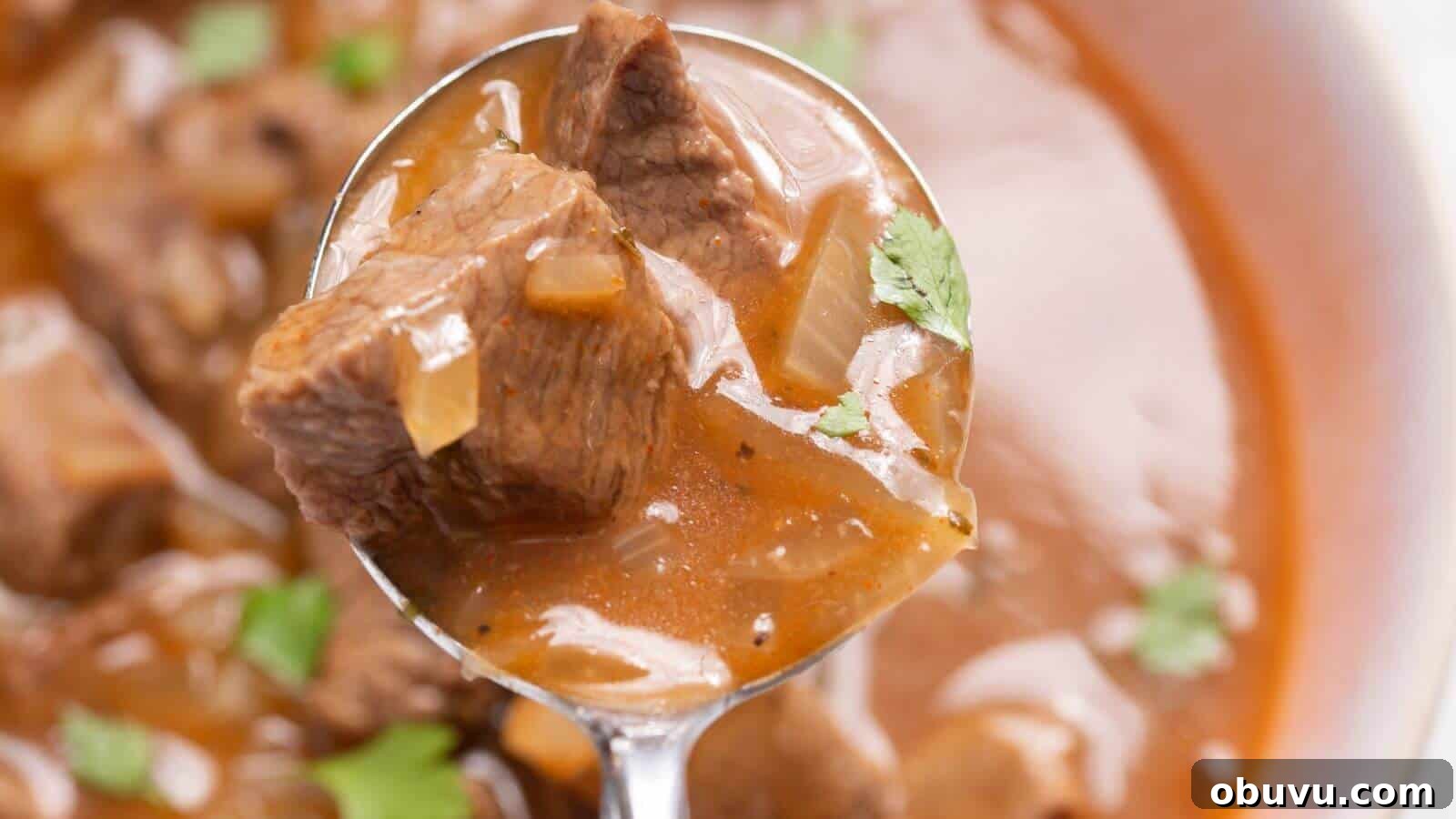 29 Delicious Low-Carb Meals That Aren’t Just Salad 23 A spoon holding chunks of beef in a rich, brown stew garnished with small pieces of green herbs.