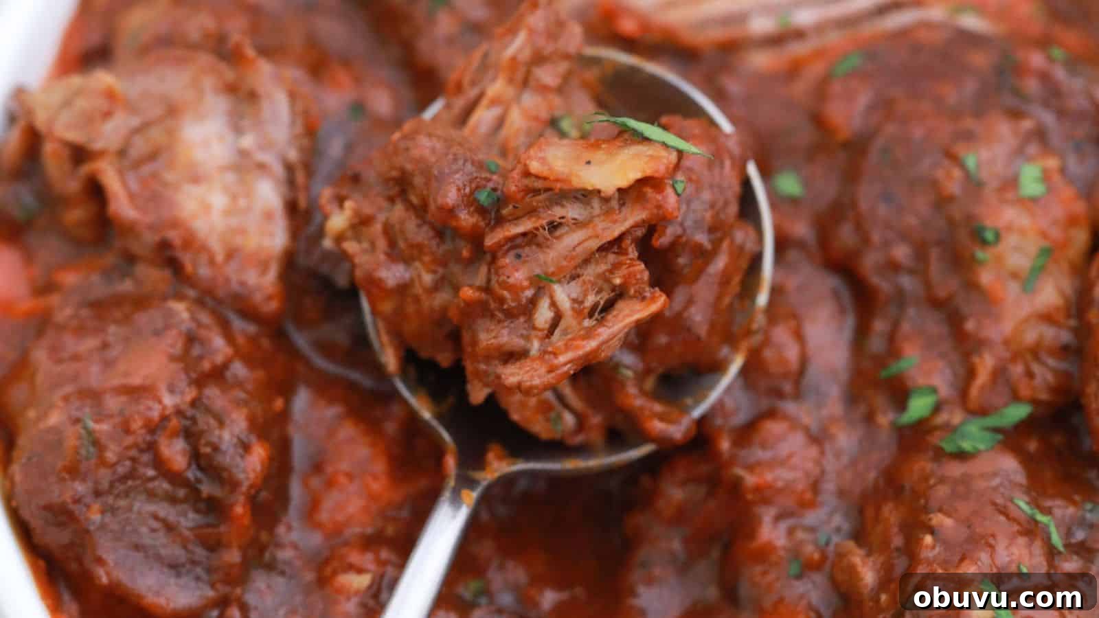 29 Delicious Low-Carb Meals That Aren’t Just Salad 9 A close-up of braised short ribs in a tomato-based sauce, garnished with herbs.