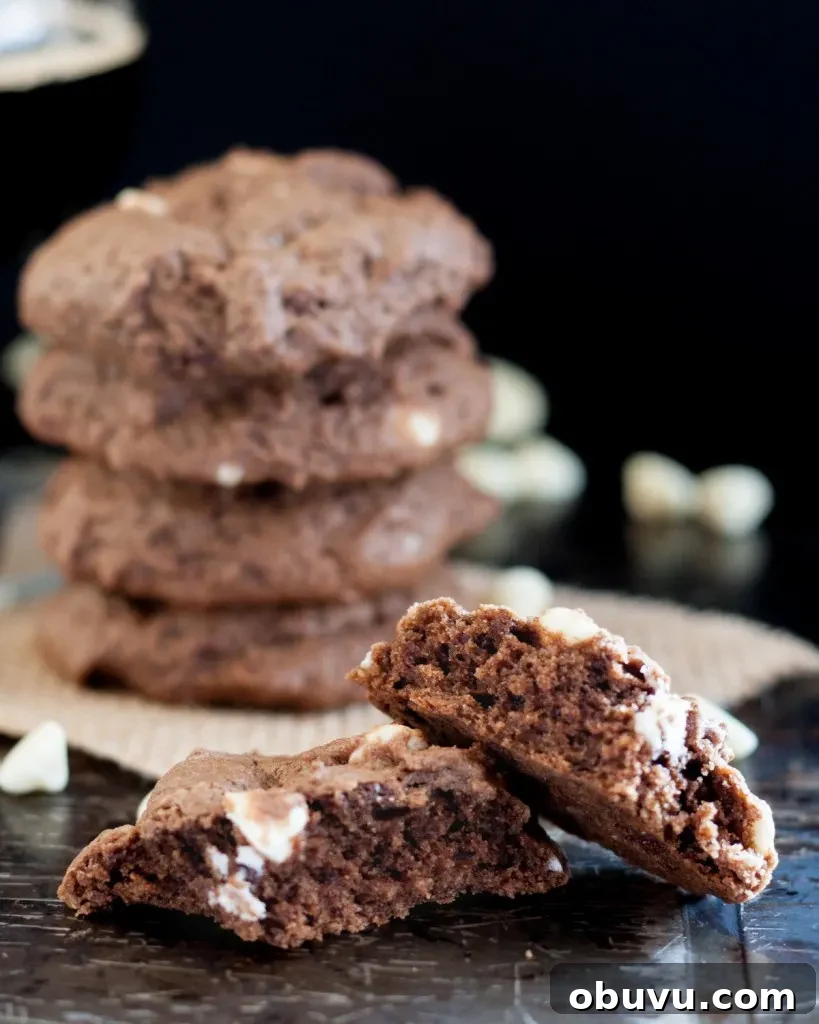 Chocolate Coffee Stout Cookies — Rich Beer-Infused Cookies 6 Soft chocolate coffee stout beer cookies are the perfect treat for a beer lover! The beer taste is just right and blends perfectly with the chocolate.