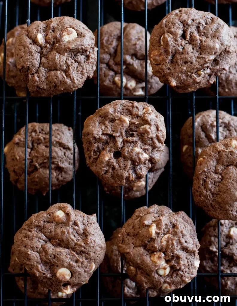 Chocolate Coffee Stout Cookies — Rich Beer-Infused Cookies 3 Soft chocolate coffee stout beer cookies are the perfect treat for a beer lover! The beer taste is just right and blends perfectly with the chocolate.