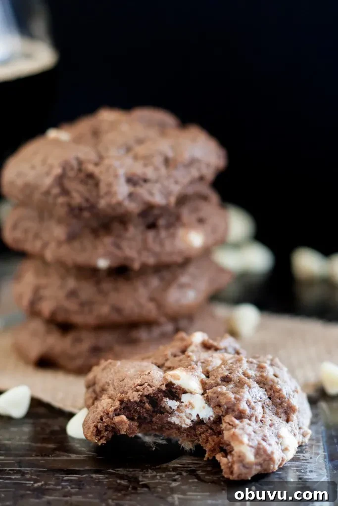 Chocolate Coffee Stout Cookies — Rich Beer-Infused Cookies 5 Soft chocolate coffee stout beer cookies are the perfect treat for a beer lover! The beer taste is just right and blends perfectly with the chocolate.