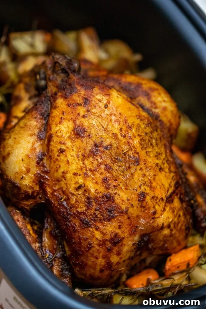 Juicy Slow-Cooker Whole Chicken with Savory Stuffing 2 nicely browned Crockpot whole chicken with vegetables and herbs