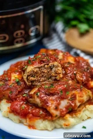 Slow Cooker Stuffed Cabbage Rolls