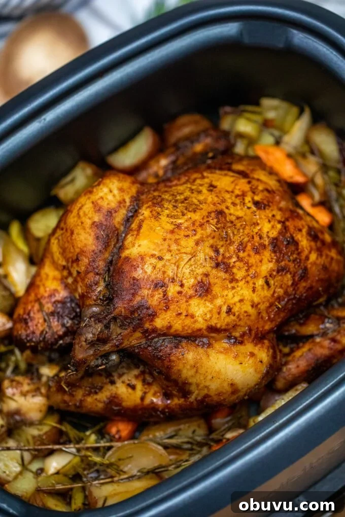 Juicy Slow-Cooker Whole Chicken with Savory Stuffing 3 Perfectly cooked whole chicken with potatoes in the slow cooker