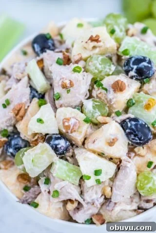Waldorf Chicken Salad Recipe