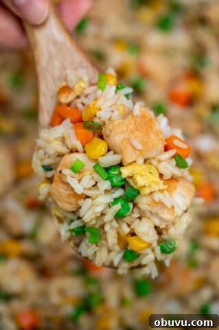 Takeout Style Chicken Fried Rice