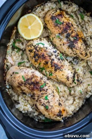Crockpot Chicken and Rice
