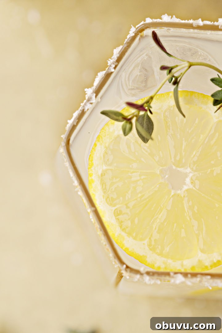 close up overhead photo of a lemon slice in a meyer lemon margarita