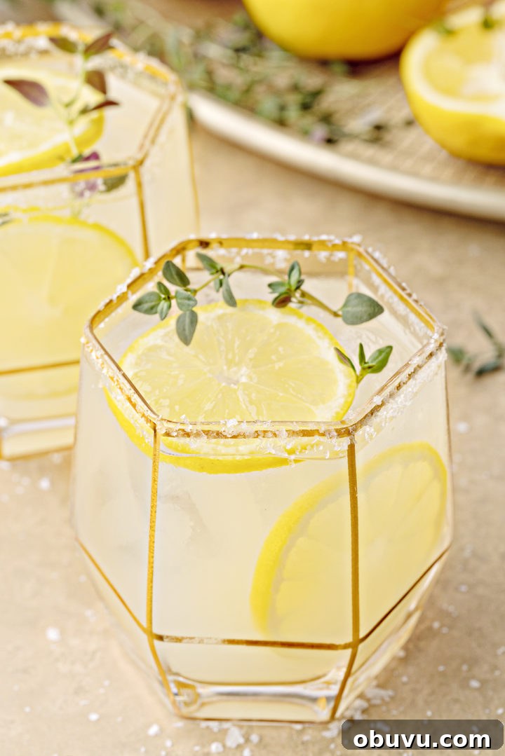 close up photo of a glass of lemon margarita with slices of fresh lemon