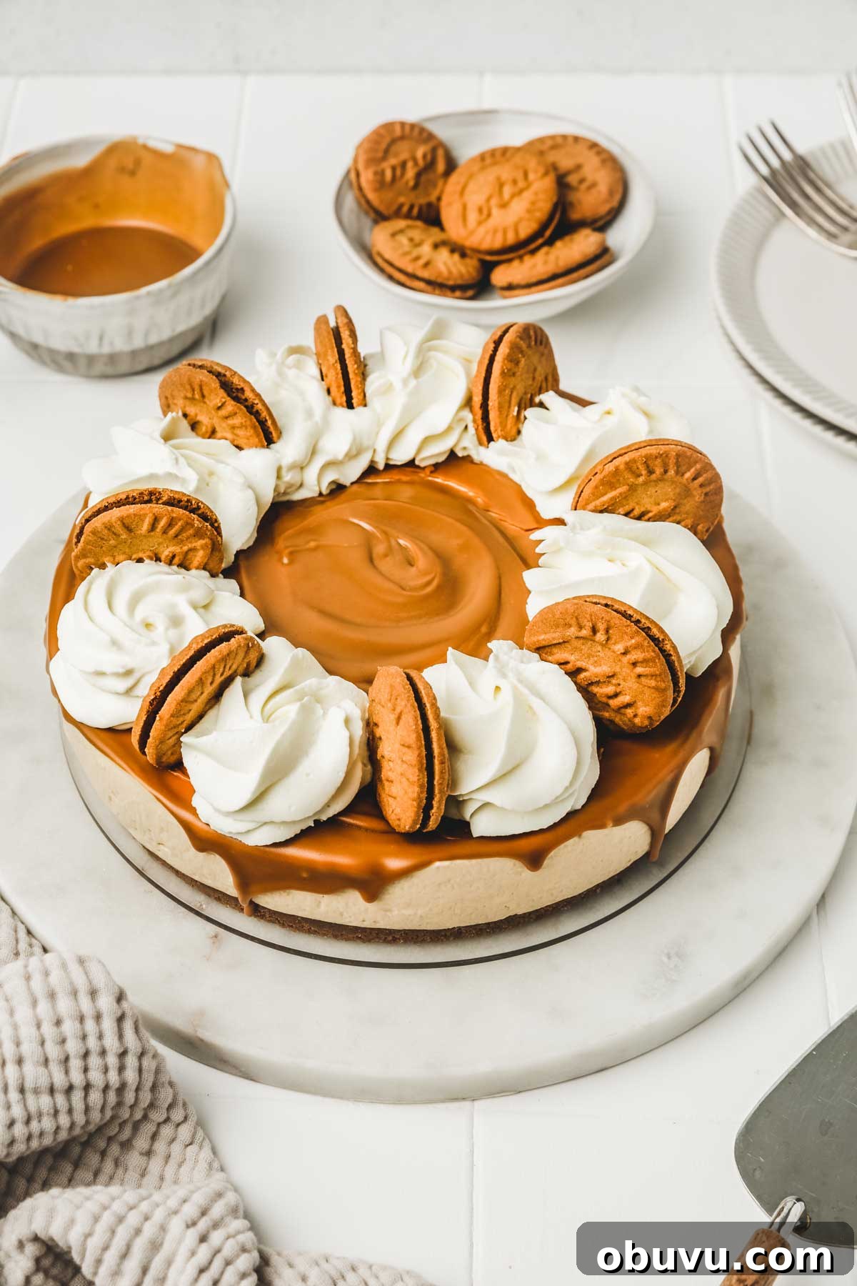 No-Bake Biscoff Cookie Butter Cheesecake Recipe 2 no bake biscoff cheesecake on a table