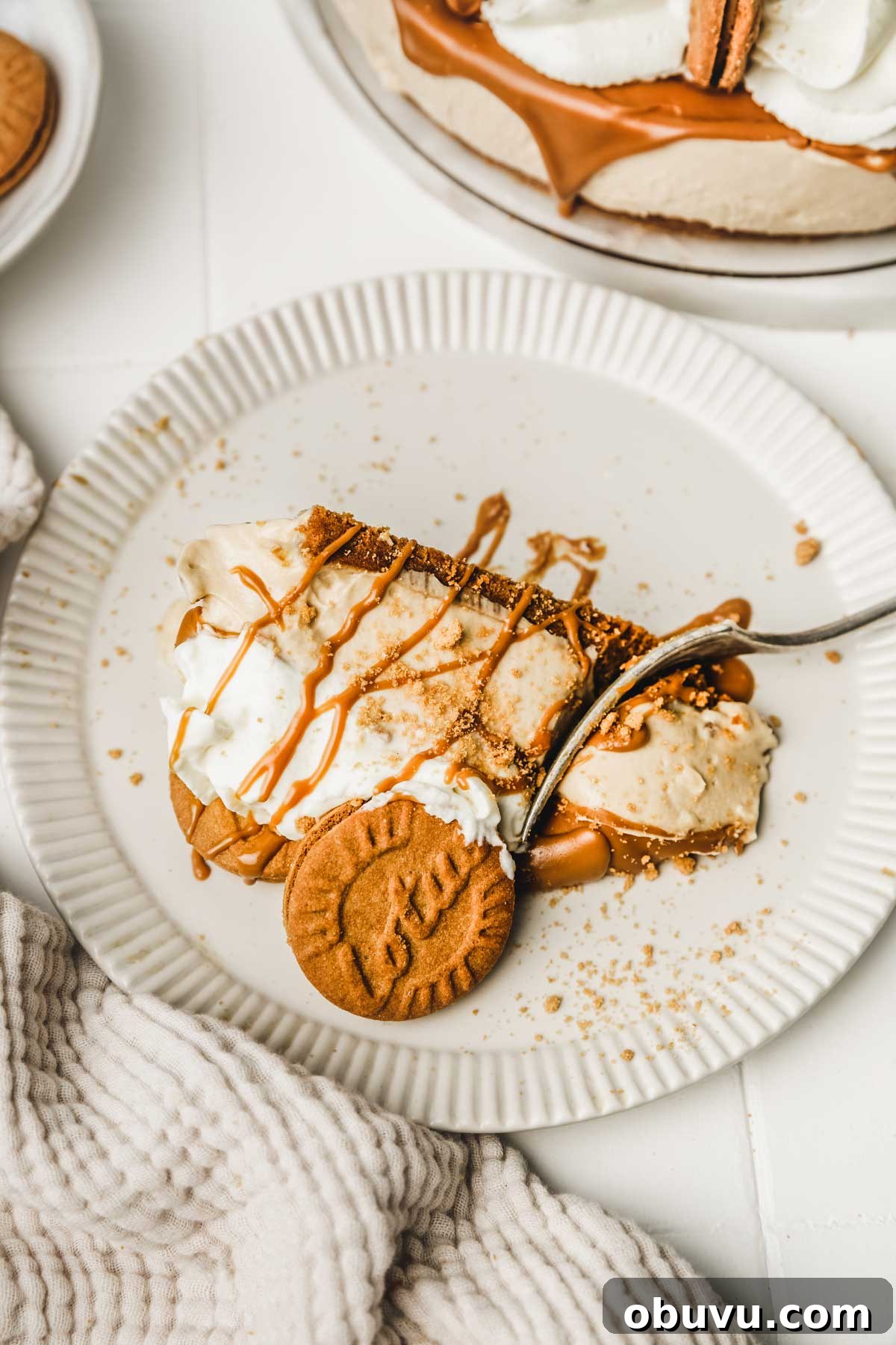 No-Bake Biscoff Cookie Butter Cheesecake Recipe 3 slice of no bake cookie butter cheesecake on a dessert plate