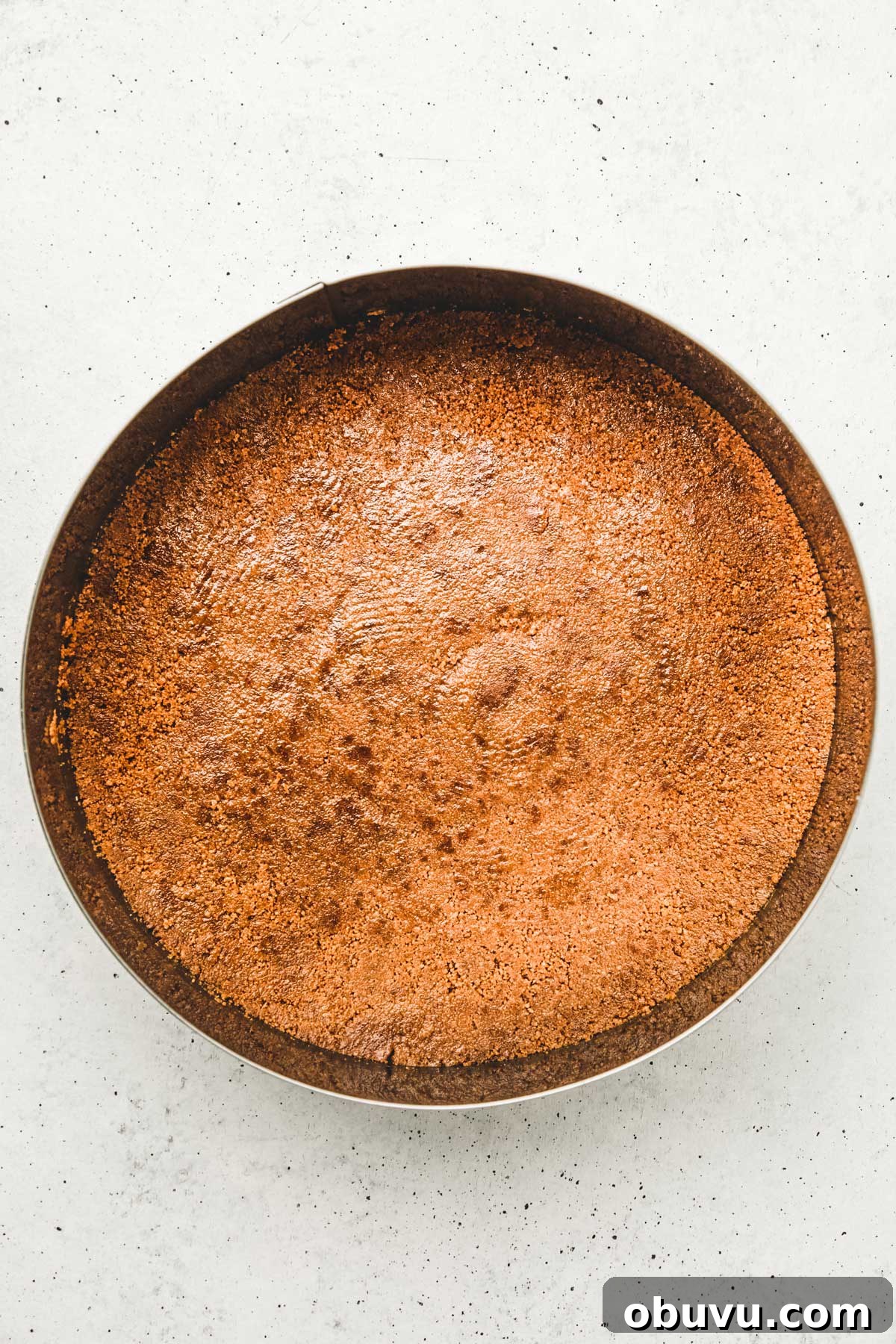 No-Bake Biscoff Cookie Butter Cheesecake Recipe 5 springform pan lined with biscoff cookie crust