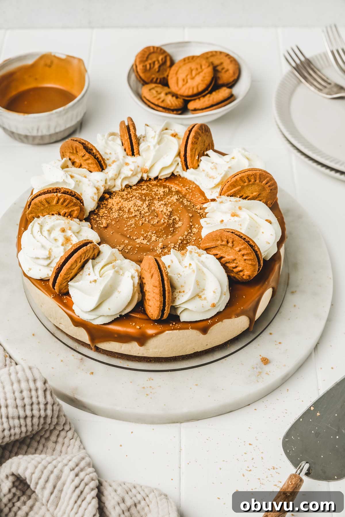No-Bake Biscoff Cookie Butter Cheesecake Recipe 8 cookie butter cheesecake topped with lotus biscoff spread
