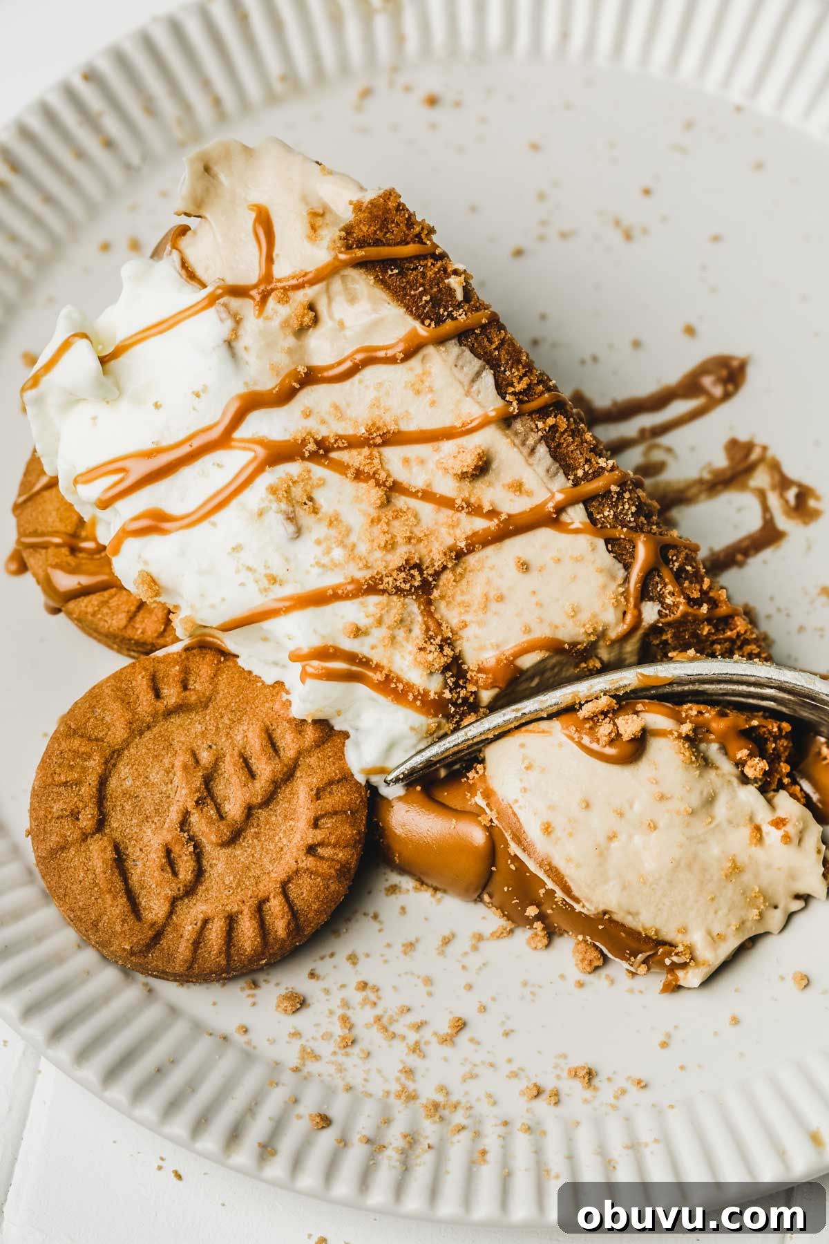 No-Bake Biscoff Cookie Butter Cheesecake Recipe 9 creamy biscoff cheesecake close-up view
