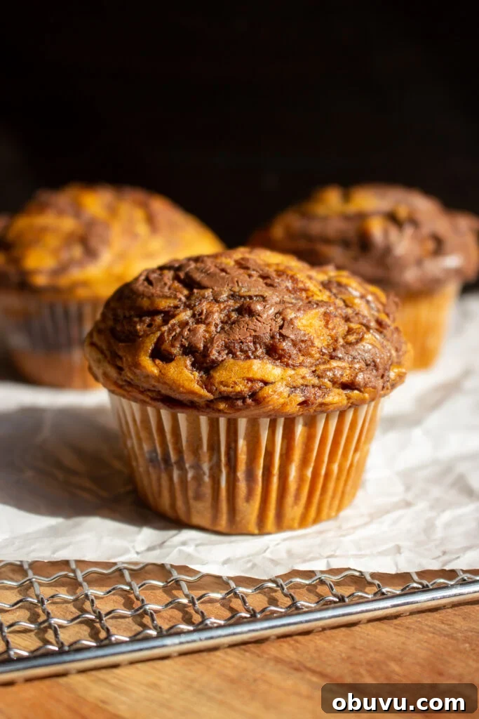 Pumpkin and Nutella Muffins Recipe for Fall Baking 2 Pumpkin Nutella Muffins