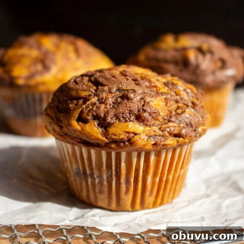 Pumpkin and Nutella Muffins Recipe for Fall Baking 11 Pumpkin Nutella Muffins