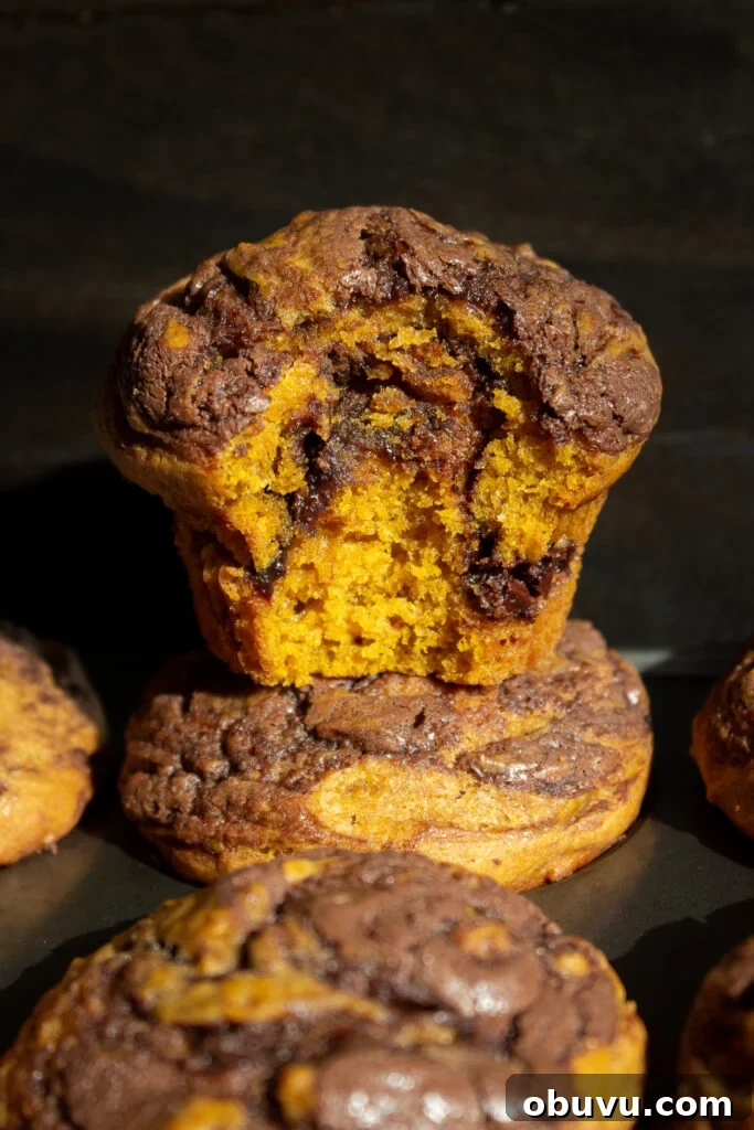 Pumpkin and Nutella Muffins Recipe for Fall Baking 3 Pumpkin Nutella Muffins close-up
