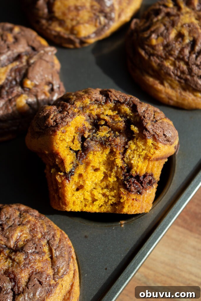 Pumpkin and Nutella Muffins Recipe for Fall Baking 10 Muffin close-up