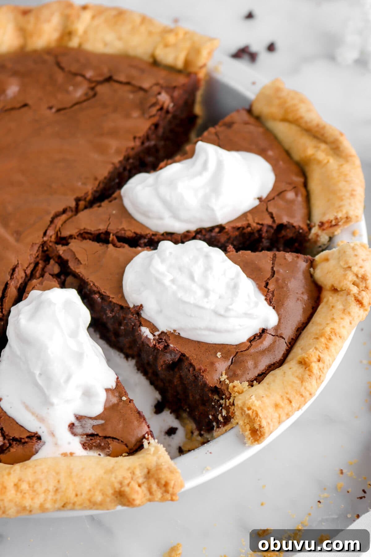 Fudgy Chocolate Chip Brownie Pie Recipe for Ooey-Gooey Dessert 11 close up of brownie pie slices in pie plate with whipped cream on top.
