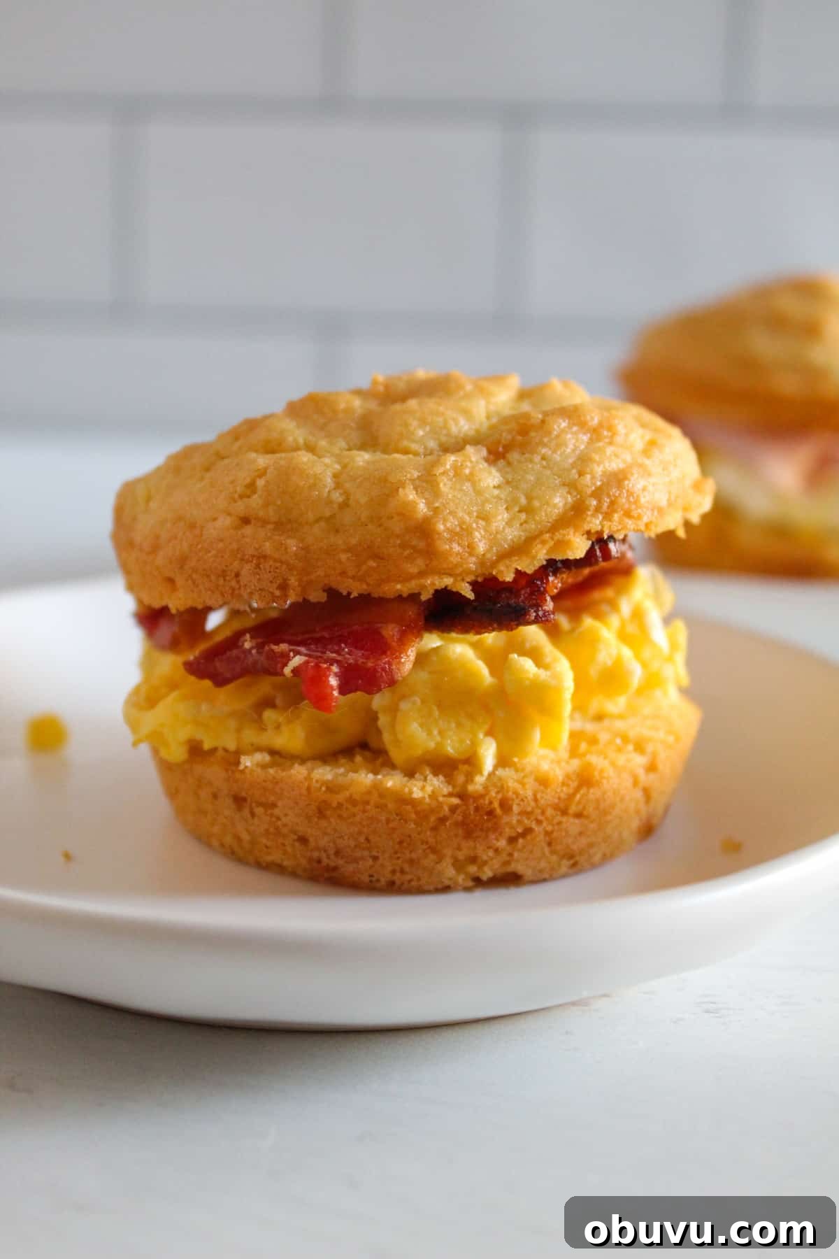 Gluten-Free Egg and Cheese Breakfast Sandwich Recipe 13 img 4540 12