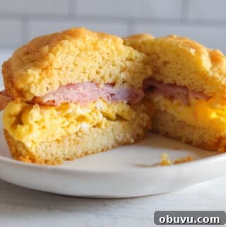 Gluten-Free Egg and Cheese Breakfast Sandwich Recipe 15 inside of a gluten free breakfast sandwich.
