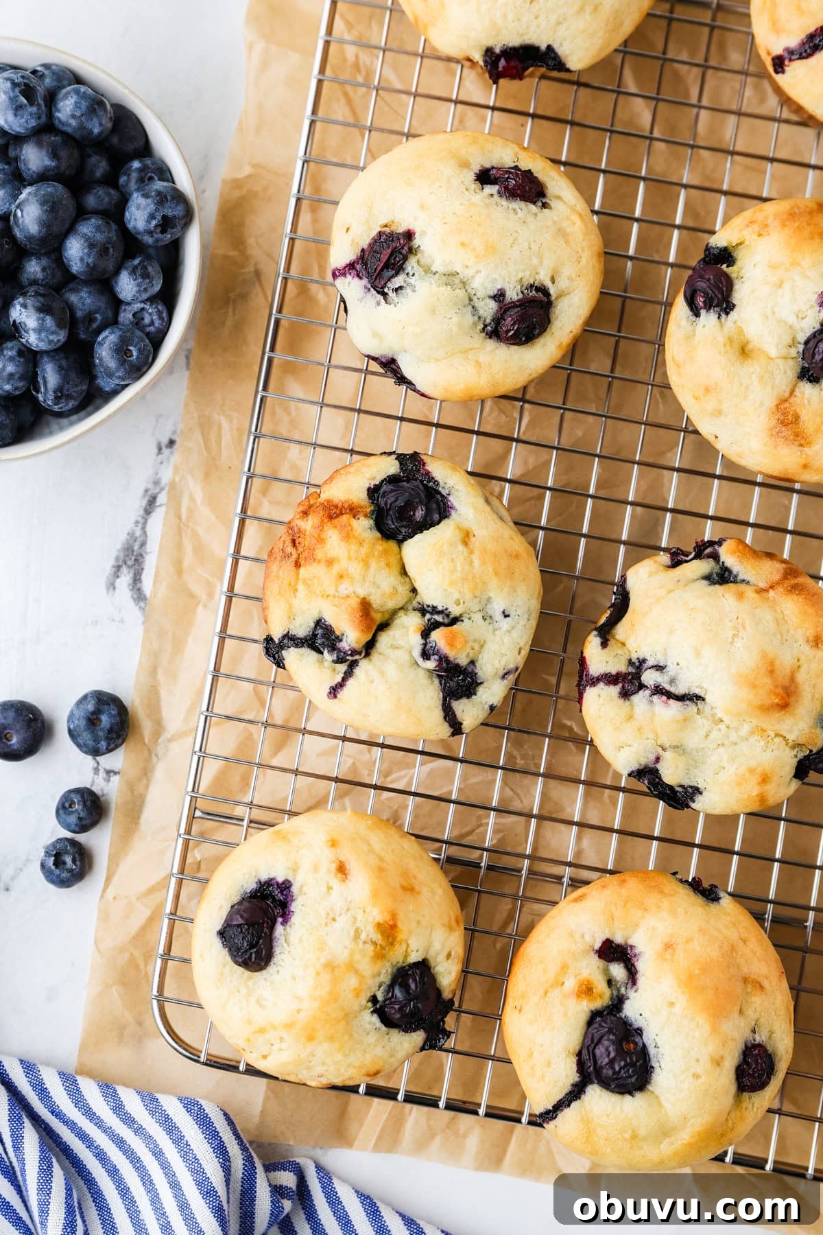 An overhead image of cottage cheese blueberry muffins.