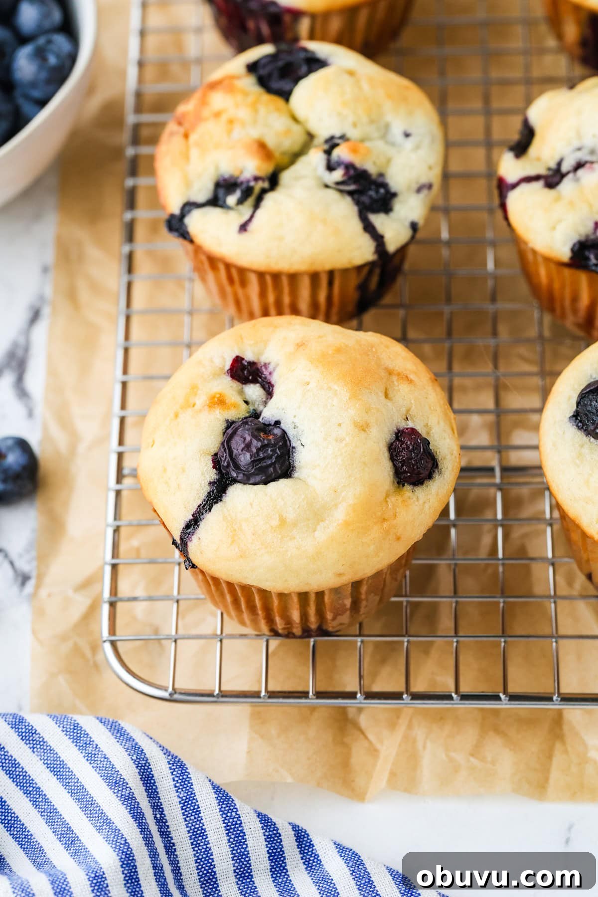 A close up image of a cottage cheese blueberry muffin.