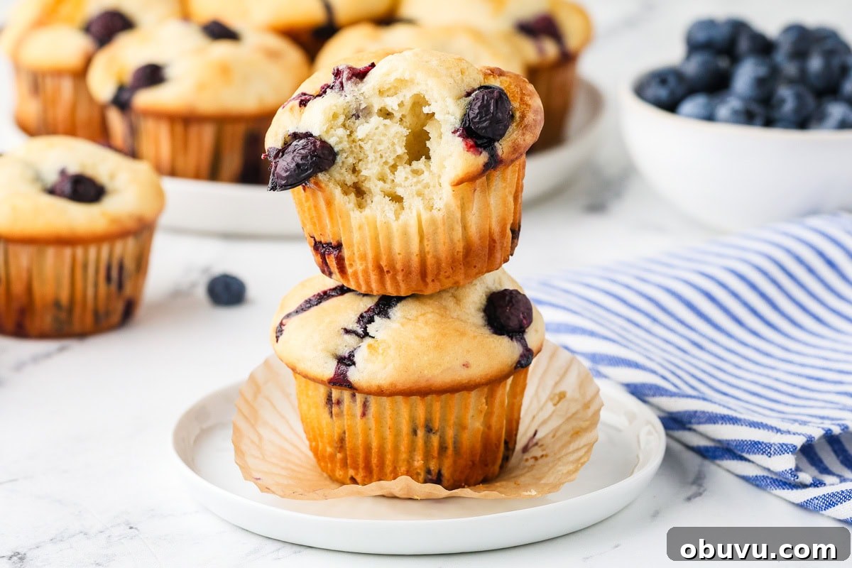 A close up image of cottage cheese blueberry muffins on a plate.