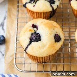 A close up image of a cottage cheese blueberry muffin.