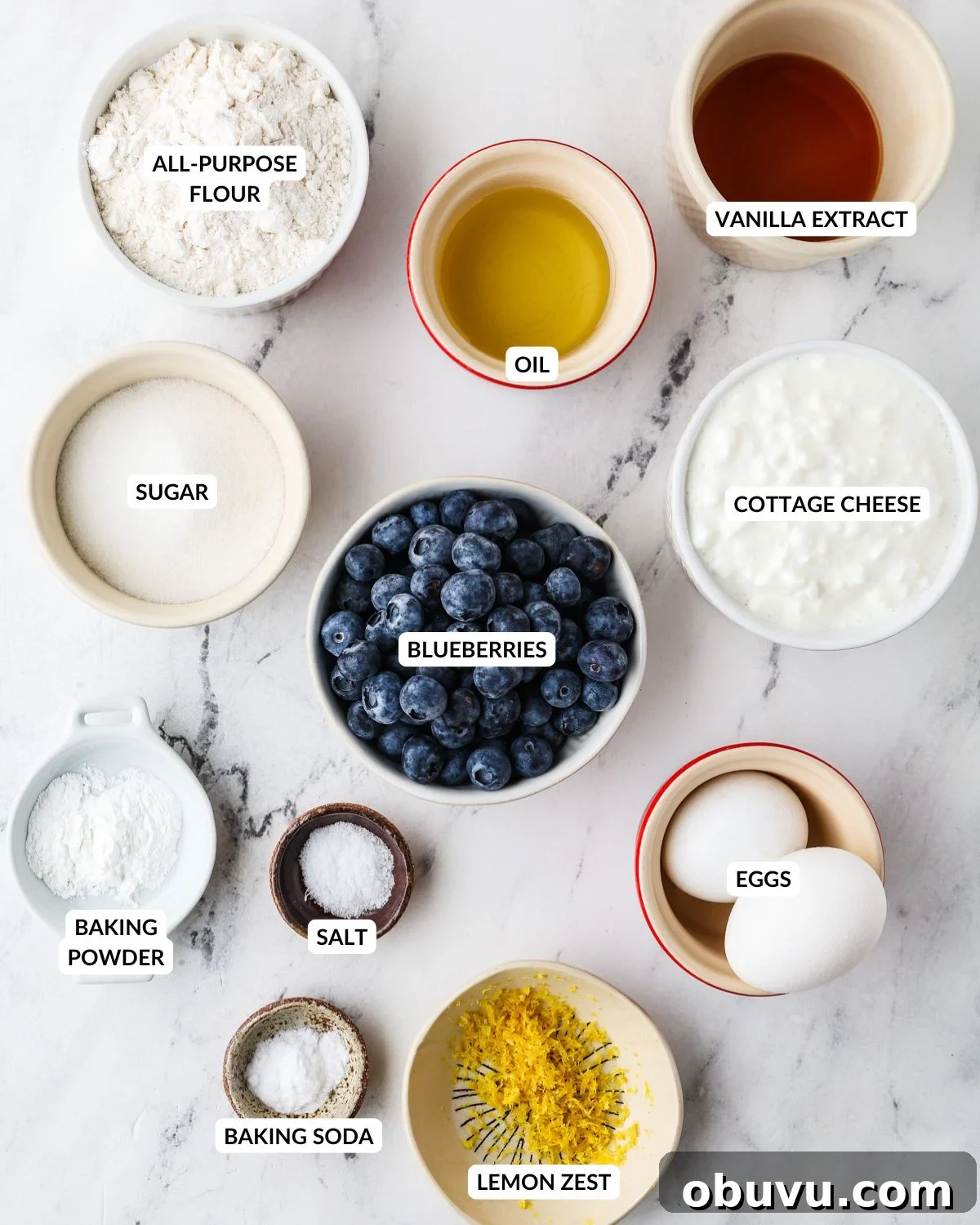 An overhead image of the ingredients of cottage cheese blueberry muffins.
