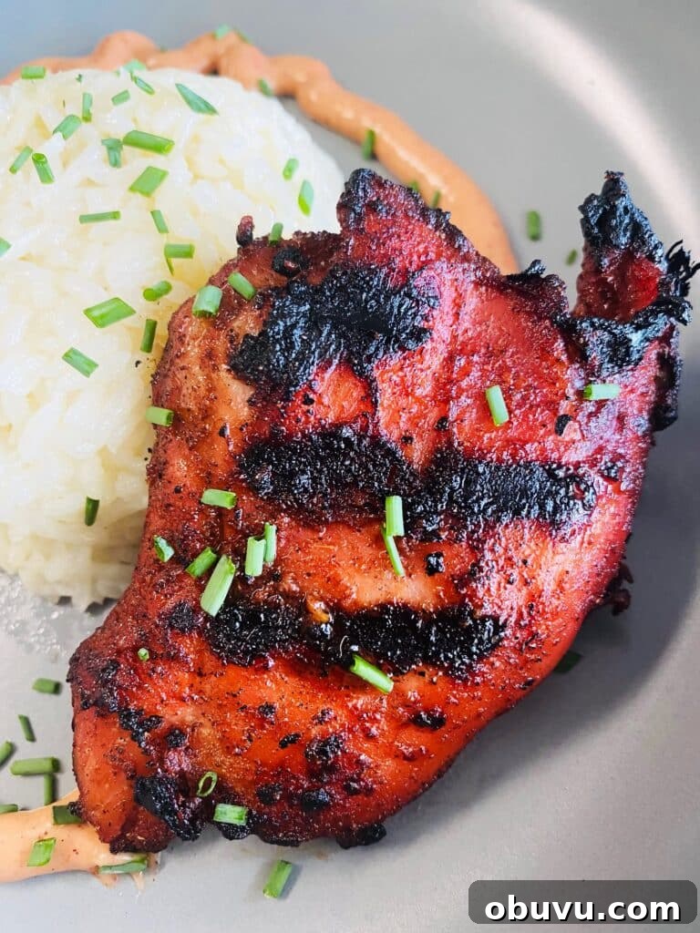 Smoked Honey Jalapeño Poppers with Creamy Cheese Filling 13 Grilled Char Siu Chicken
