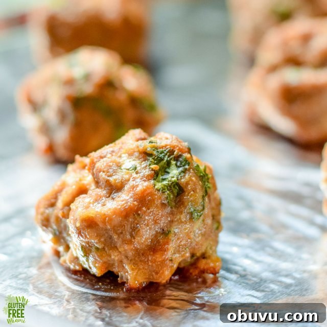 Wild boar meatballs on tray