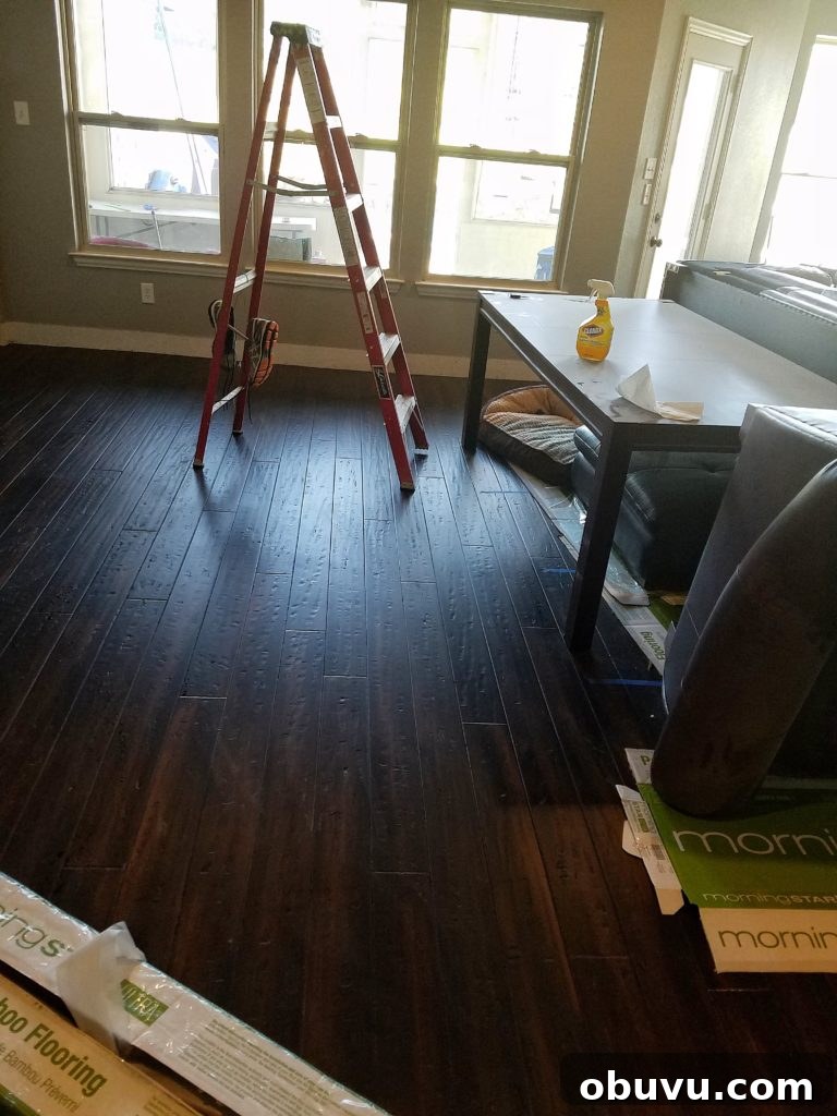 Basement Renovation Ideas: Transform Your Lower Level into Livable Space 2 20161020_094156-01