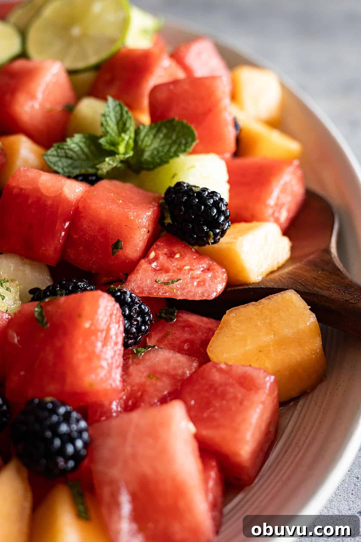 Mojito Fruit Salad Recipe: Refreshing Mint-Lime Fruit Bowl 6 Close up of fruit salad.