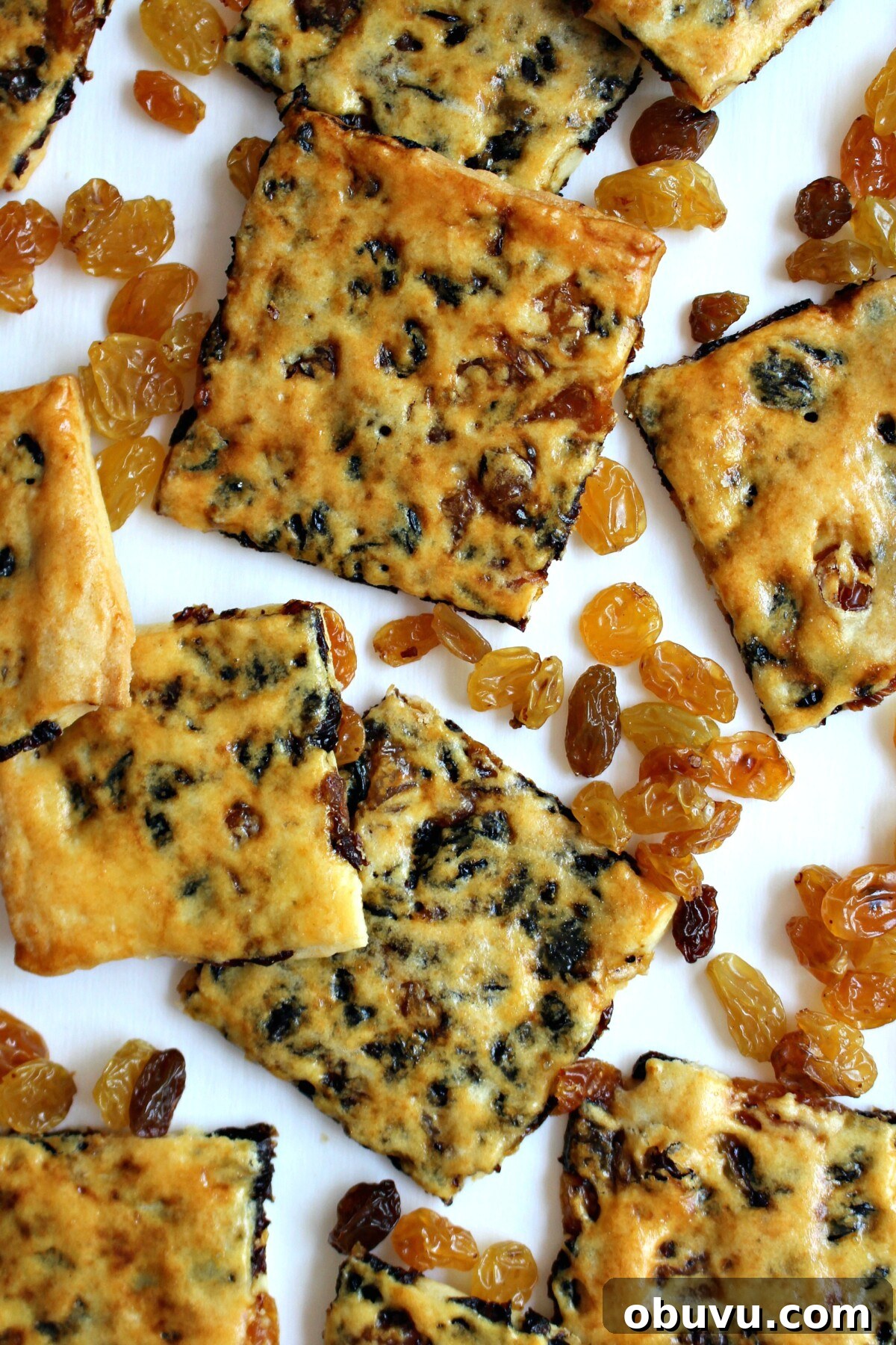 Thin cookie squares with raisins showing through the crust on a white background.