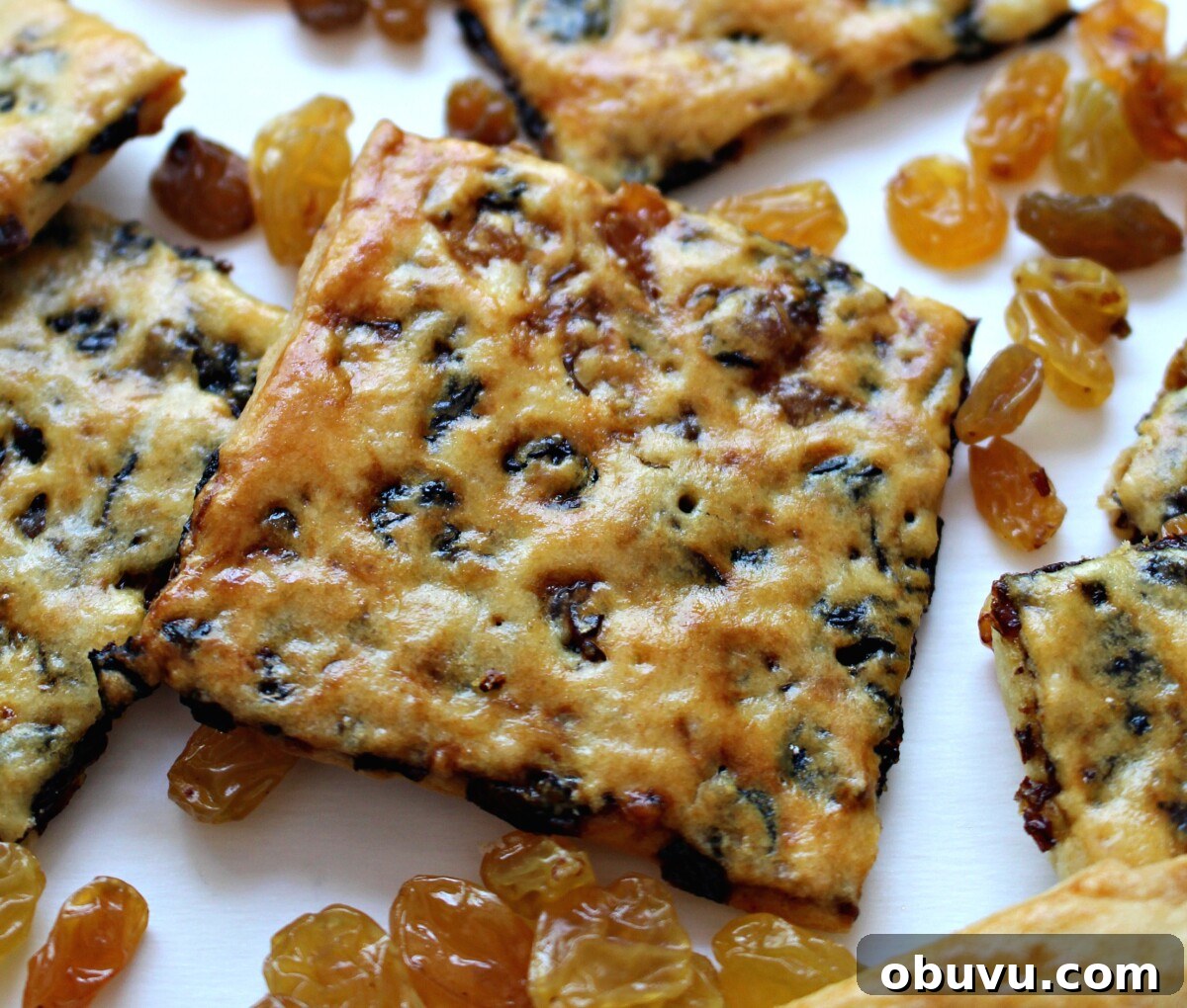 Closeup of a thin raisin cookie square showing the shiny golden crust.