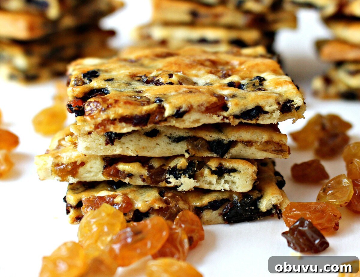 Stack of thin Garibaldi raisin cookie squares.