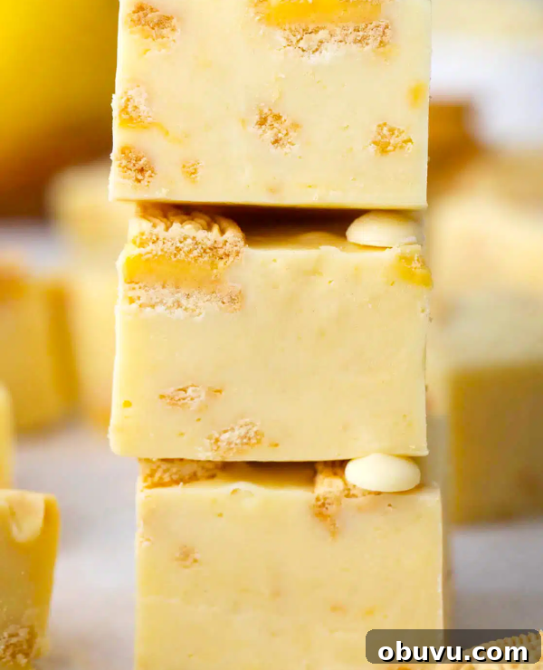 Roundup Image for Spring No-Bake Recipes