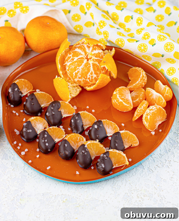 Roundup Image for Spring No-Bake Recipes