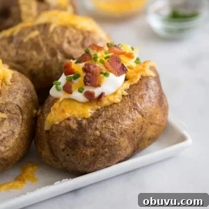 Cheddar and Bacon Twice-Baked Potato Recipe 6 Cheddar Bacon Twice Baked Potato