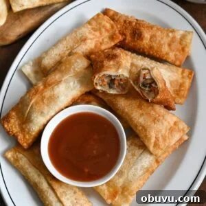 Crispy Vegetarian Egg Rolls with Tangy Dipping Sauce 15 Learn how to make easy vegetarian egg rolls with our family recipe.